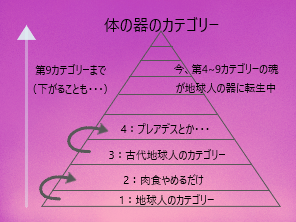 カテゴリー