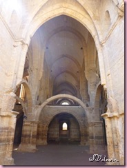 P1030656