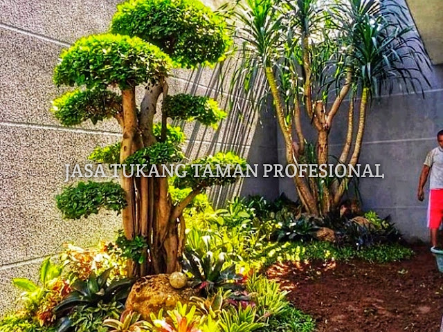 Jasa Tukang Taman, Jasa Pembuatan Taman, Tukang Taman Murah, Jasa Pembuatan Taman Murah Bergaransi, Jasa Desain Dan Pembuatan Taman Profesional, Kontraktor Taman, Spesialis Taman Terbaik