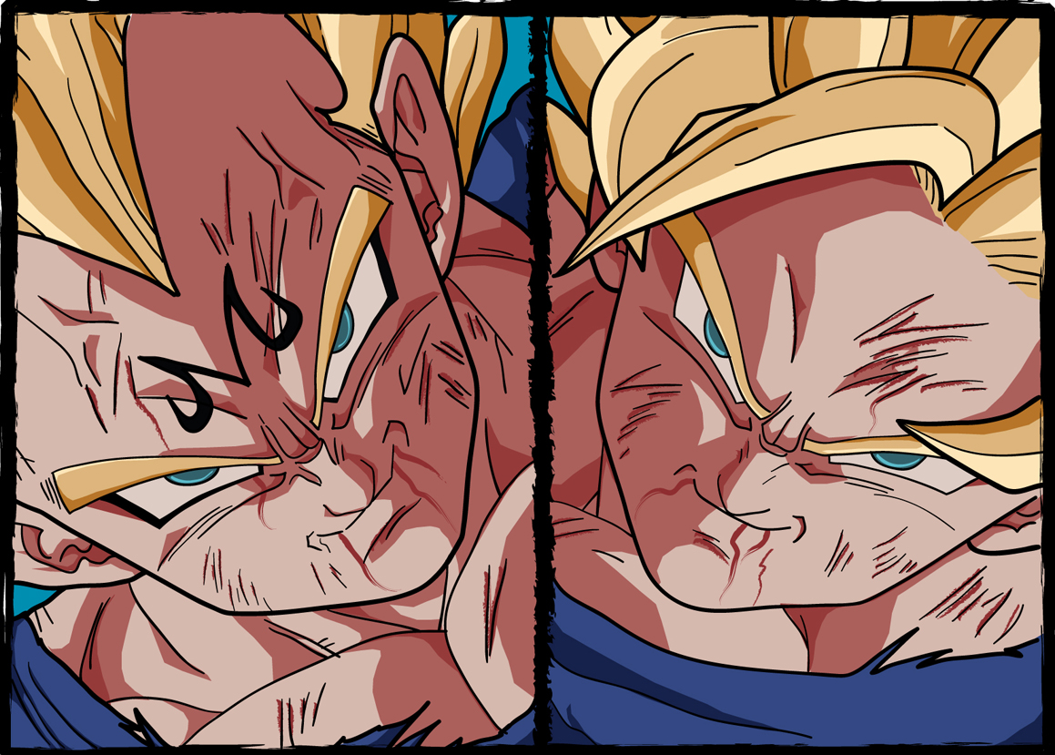 dragon ball z goku and vegeta