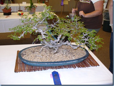 P1100045