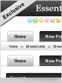 Essential Web Elements