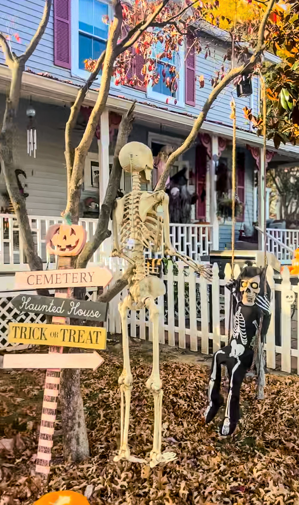 skeleton in front yard