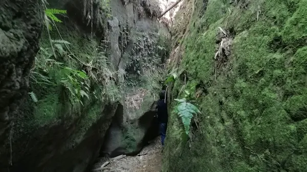 彰化秘境一線天遭刻字破壞 林世賢：暫時封閉