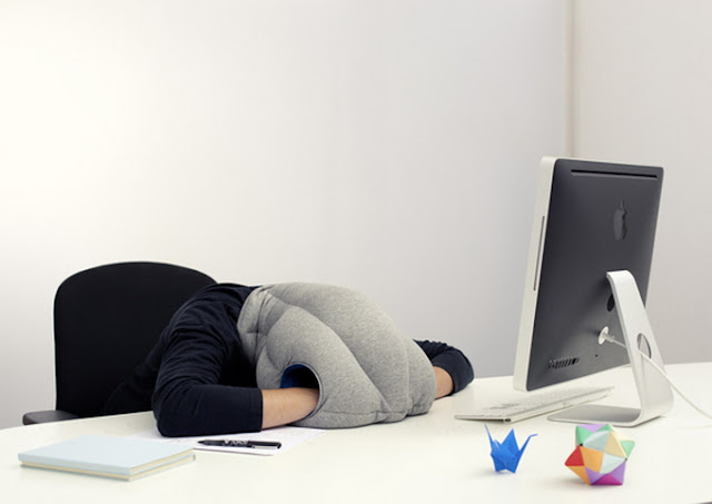 OSTRICH PILLOW