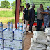 FG encourages large scale farming of cowpeas in Gombe, distributes farm inputs