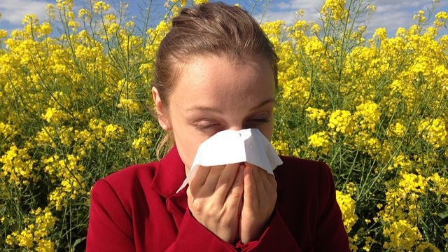 Berbagai Macam Obat Alergi Yang Perlu untuk Diketahui
