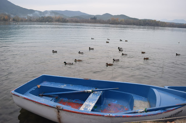 L'Estany de Banyoles - Silky Views