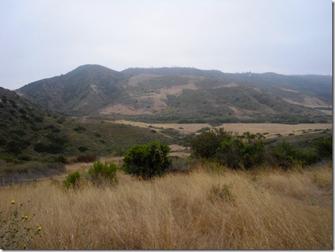 CIMG0039