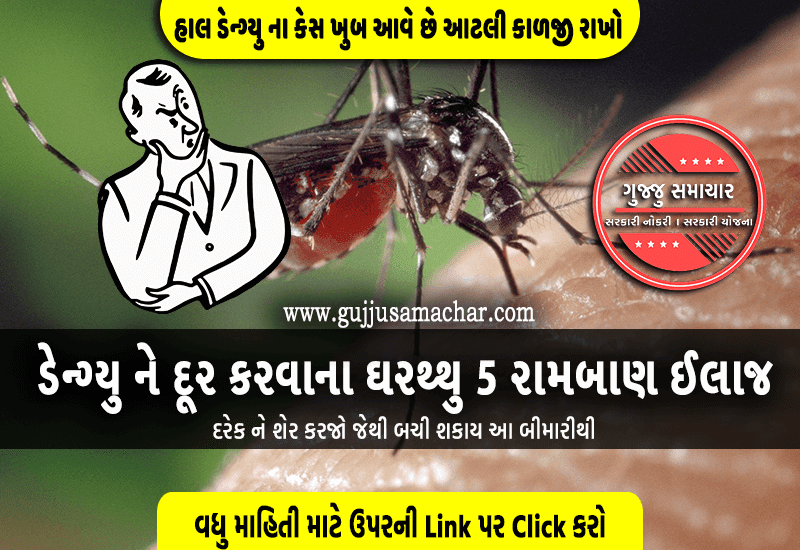 ડેન્ગ્યુ ને દૂર કરવાના ઘરથ્થુ 5 રામબાણ ઈલાજ