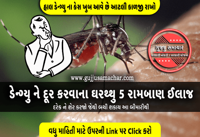 Dengue Fever : ડેન્ગ્યુ ને દૂર કરવાના ઘરથ્થુ 5 રામબાણ ઈલાજ