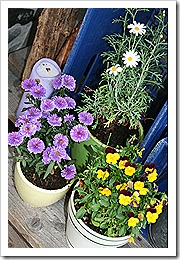 IMG_2922