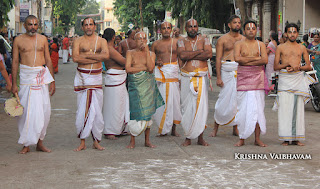 Aadi Sesha Vahanam,Purappadu, Brahmotsavam,Sri Parthasarathy Perumal,Chithirai, Triplicane,   Thiruvallikeni, Utsavam