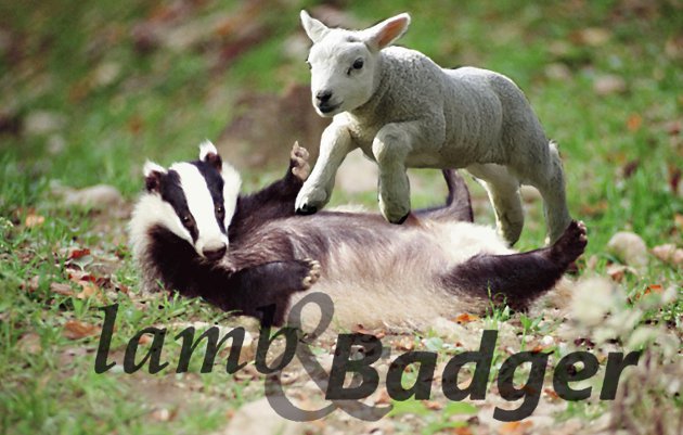 lamb & badger