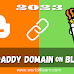 GoDaddy Domain Setup on Blogger 2023 [Complete Guide]