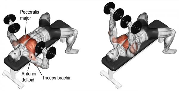 Chest Workout for Mass