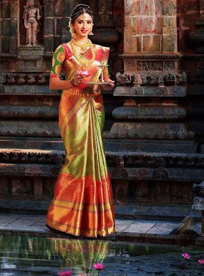 Latest Saree Design Images