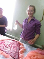 IMG_3921 IMG_3921