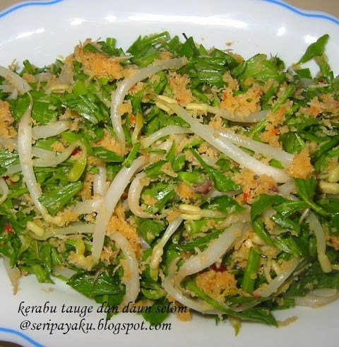 Daun Selom In English / My little vegetable garden: Daun Selom, such delicacy. - We did not find results for: