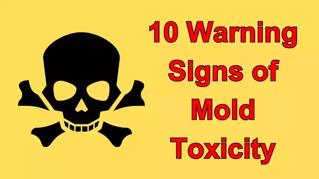 10 Warning Signs of Mold Toxicity