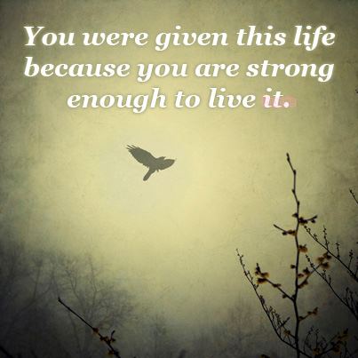 You were given this life because you are strong enough to live it.