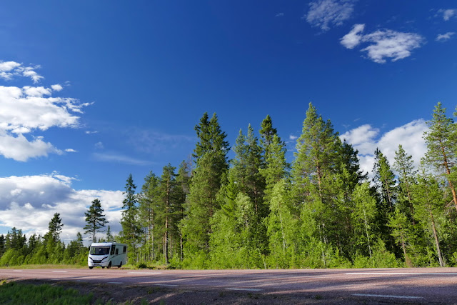 Camper, Campervan, Strasse, Schweden, Wald