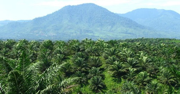 10 mata pencaharian penduduk indonesia  Berpendidikan