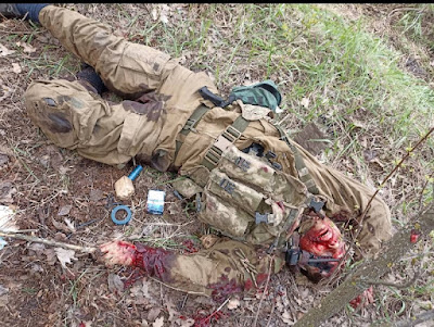 dead Ukrainian army Nato cannon fodder