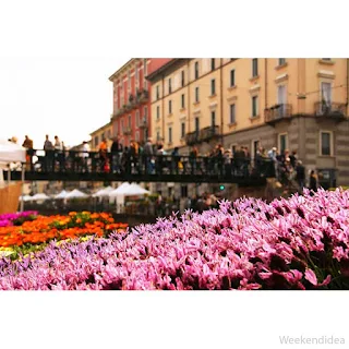 Fiori e sapori Naviglio Grande