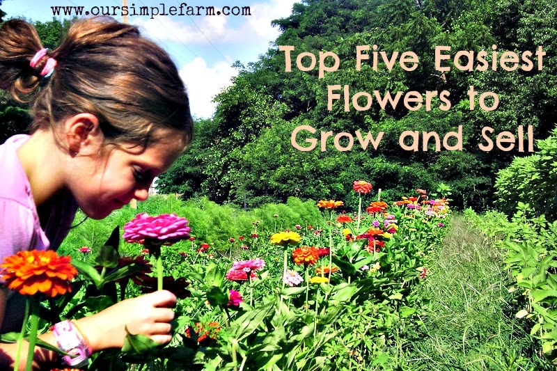 The Top Five Easiest Flowers to Grow and Sell - Our Simple ...