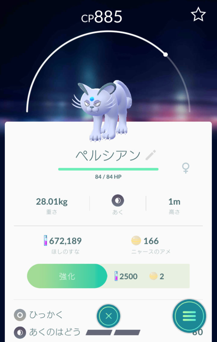 ポケモンgo 大田区 オタク ポケモンgo No 053 ペルシアン Persian