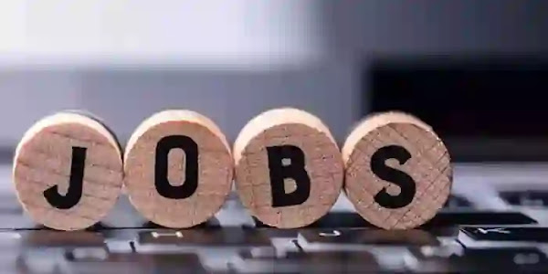 Gulf Jobs | ഗൾഫിൽ ജോലി തേടുന്നവർക്ക് ബംപർ അവസരം: എമിറേറ്റ്സിൽ 5000 ക്യാബിൻ ക്രൂ ജീവനക്കാരെ നിയമിക്കുന്നു; യോഗ്യത, ശമ്പളം, എങ്ങനെ അപേക്ഷിക്കാം, അറിയേണ്ടതെല്ലാം