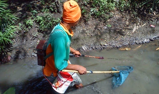  Salam jumpa kembali sobat angler sekalian apa kabarnya Begini Cara Menangkap Ikan Di Alam Liar