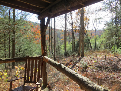 view from the porch