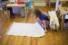 IMG_2600