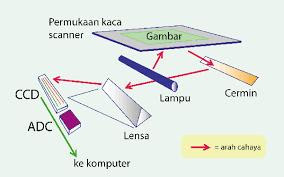 Soal Proses Scanning Gambar - Desain Grafis Kelas 10