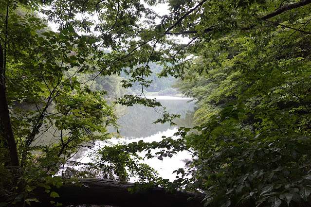 鳥取県西伯郡大山町赤松 赤松池