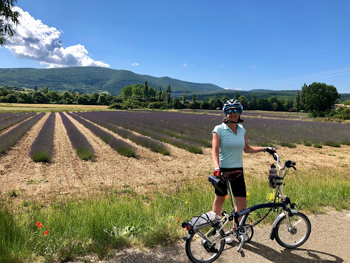 French Village Diaries cycling les Gorges de la Nesque lavender Provence