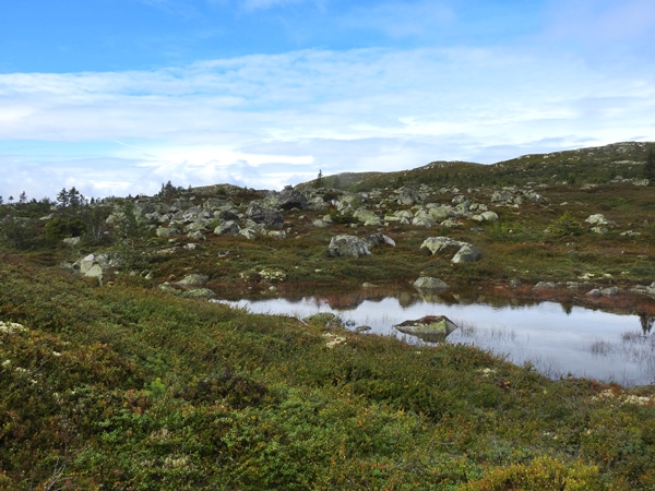 hyttetur vassfaret sørbekkseter Vassfarstien