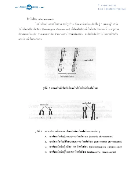 วิชาชีววิทยา เรื่องพันธุศาสตร์ ตอนที่ 1