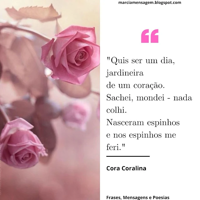 "Quis ser um dia, jardineira  de um Coração.  Sachei, mondei - nada colhi.  Nasceram Espinhos  e Nos Espinhos me Feri."  Cora Coralina