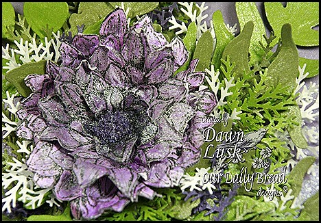 SW flower clsup