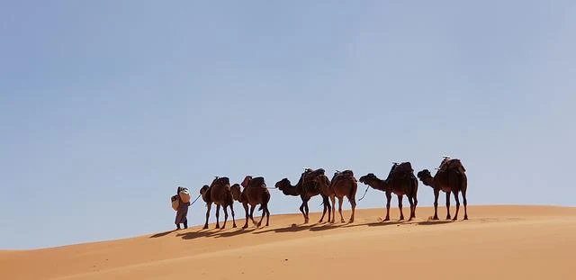 Culture ofthe Moroccan desert