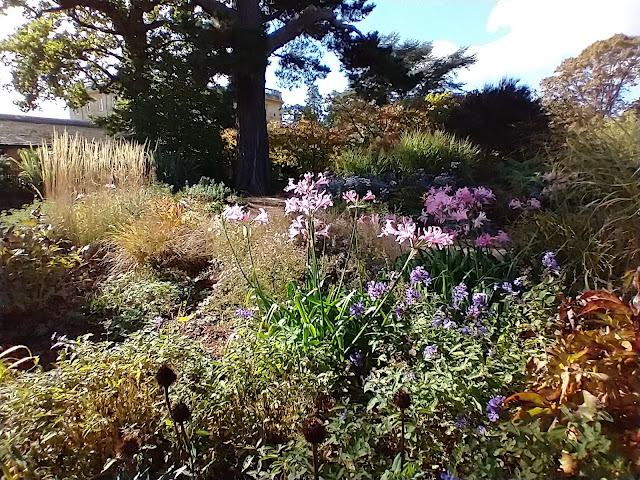 Beautiful light in the herbaceous borders at Exbury gardens