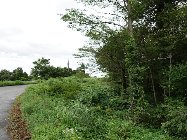 鳥取県道276号線高橋松河原線