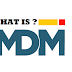 What is Lookup Translation in Informatica MDM?