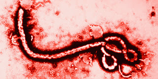 Virus Penyakit Ebola