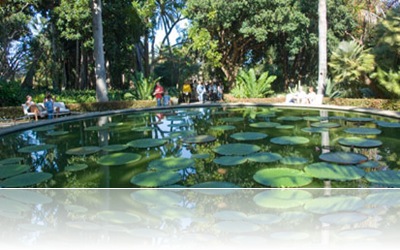 foto jardín botánico 2