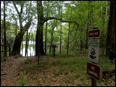 River Rise 012