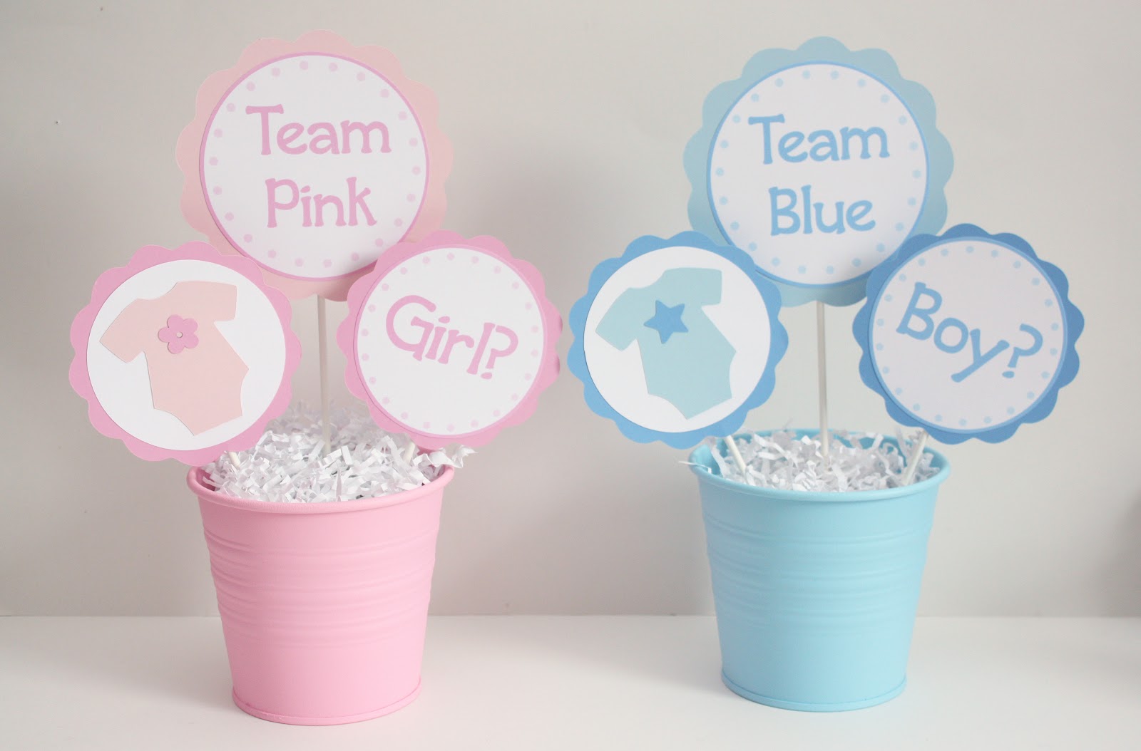 5M Creations Gender  Reveal  Party  Decorations 